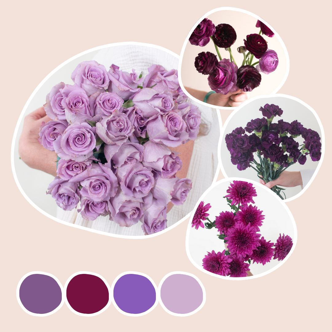 violet vs lavender flower Lavender and Purple Mixed Box