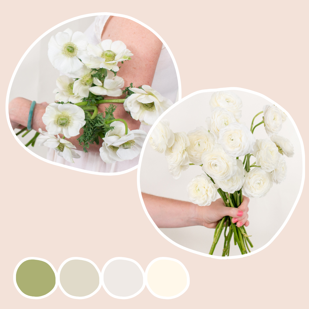 White Ranunculus and Bianco Anemone Mixed Box – Flower Moxie
