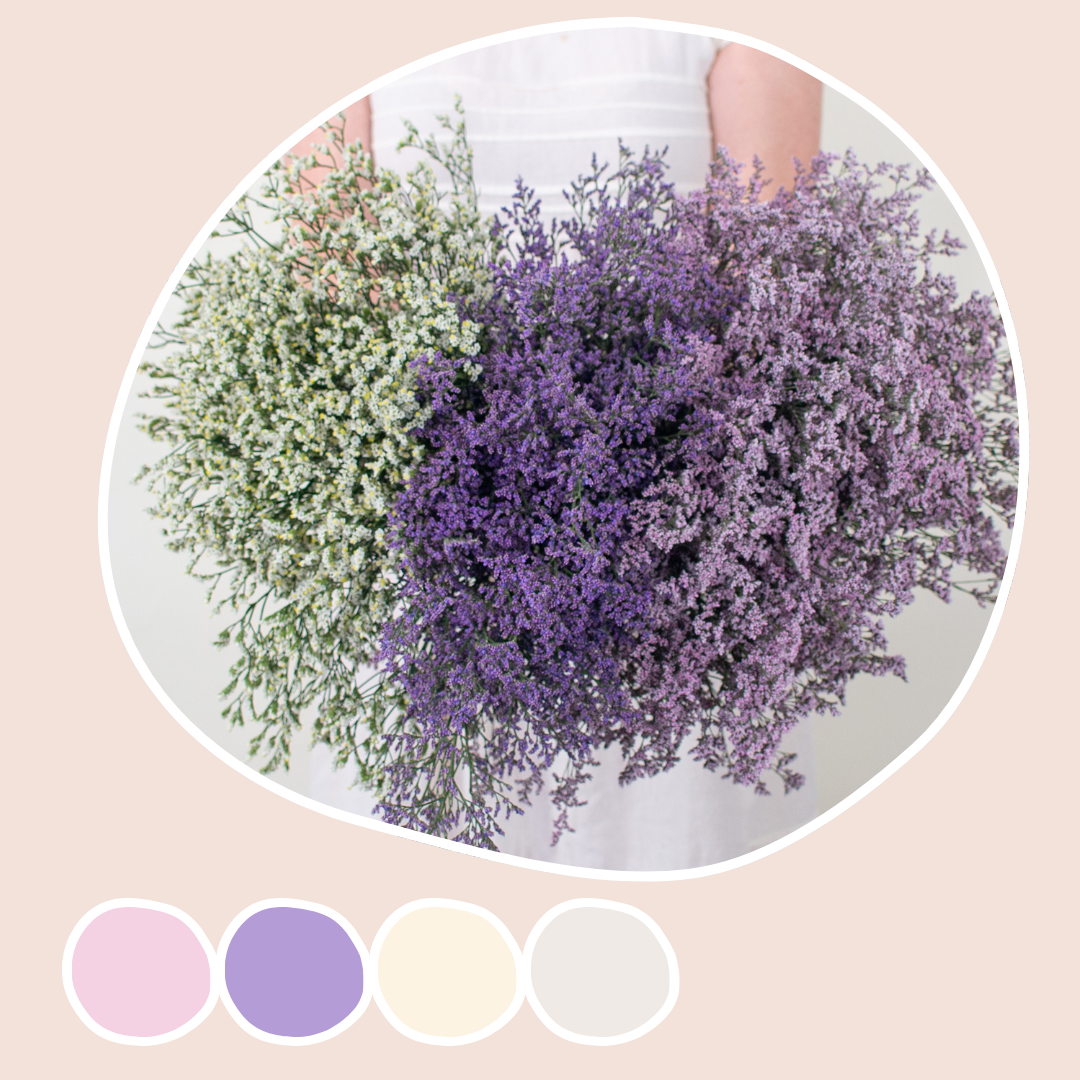 box lavender plant White, Purple and Pink Limonium Mixed Box