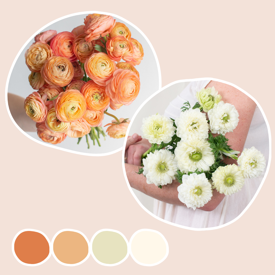 Peach Ranunculus and White Lotus Anemone Mixed Box | Flower Moxie