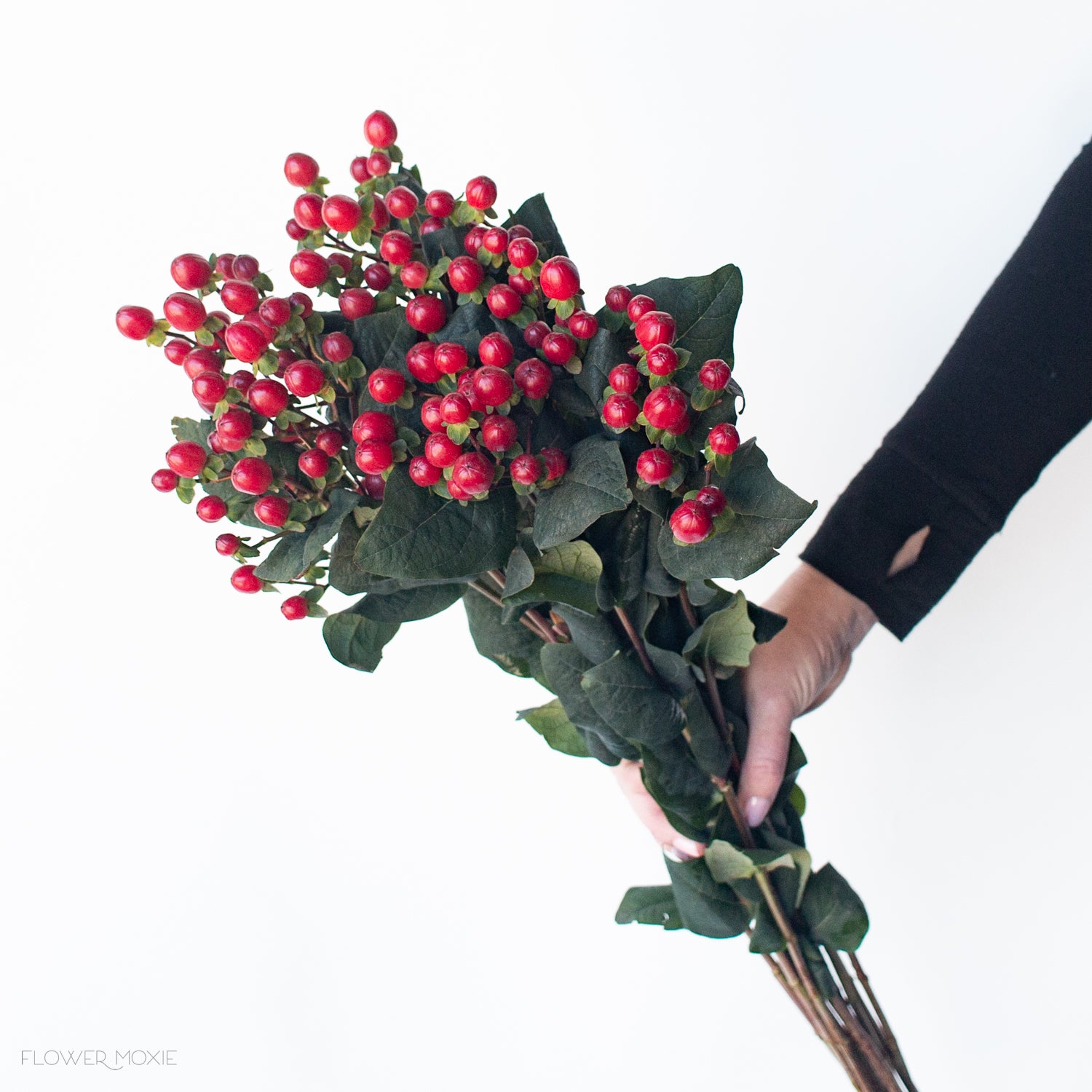Red Hypericum Berries, DIY Wedding Flowers
