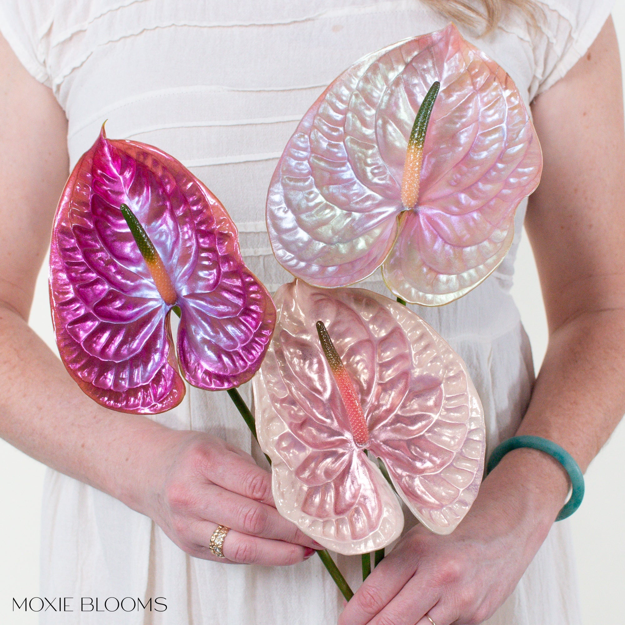 anthurium malade Iridescent Anthurium - Dolly in Drag