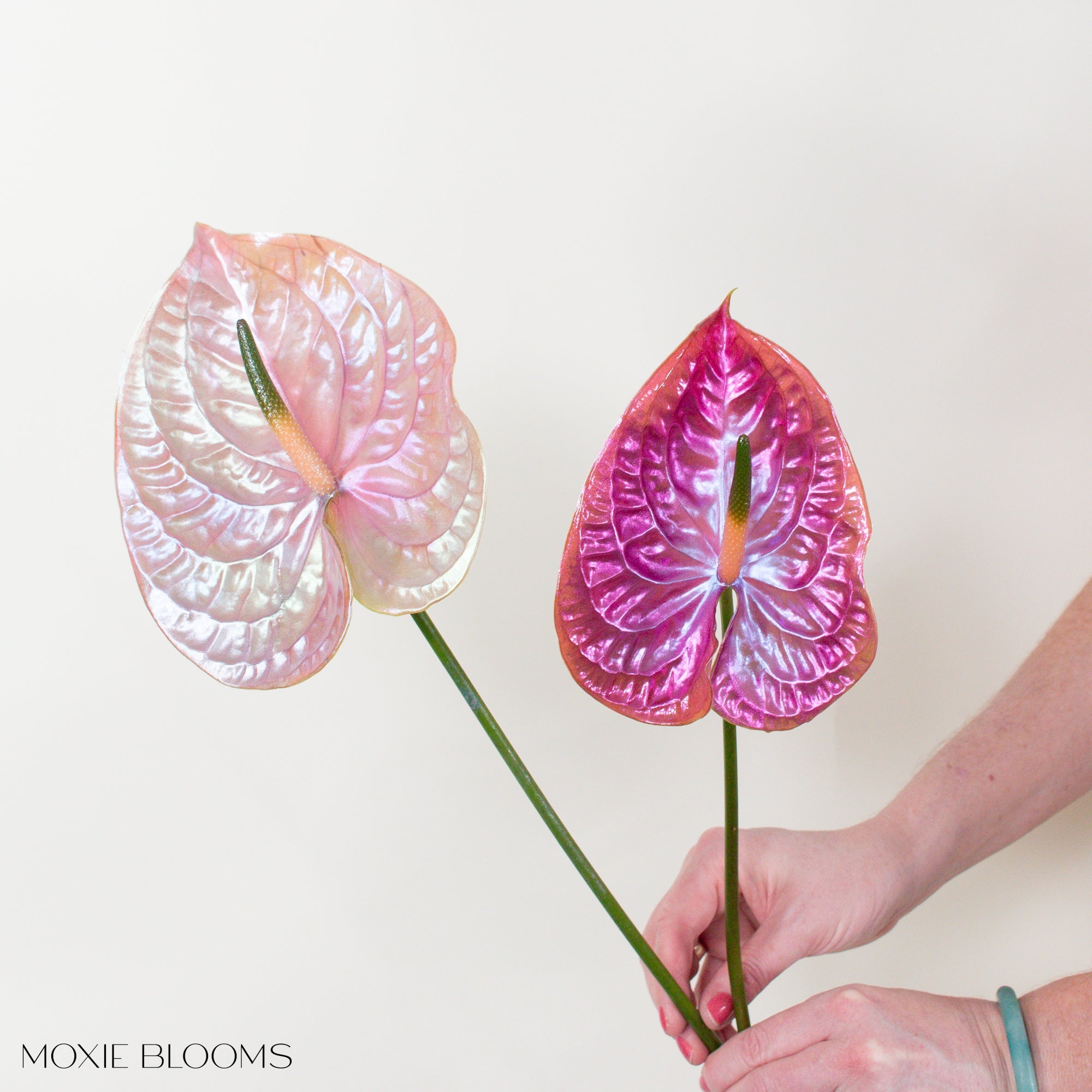 【madchen】ビーズフラワー Anthurium ライトパープル2本セット Thelma and Louise Iridescent Anthurium | Free Shipping Flower Moxie