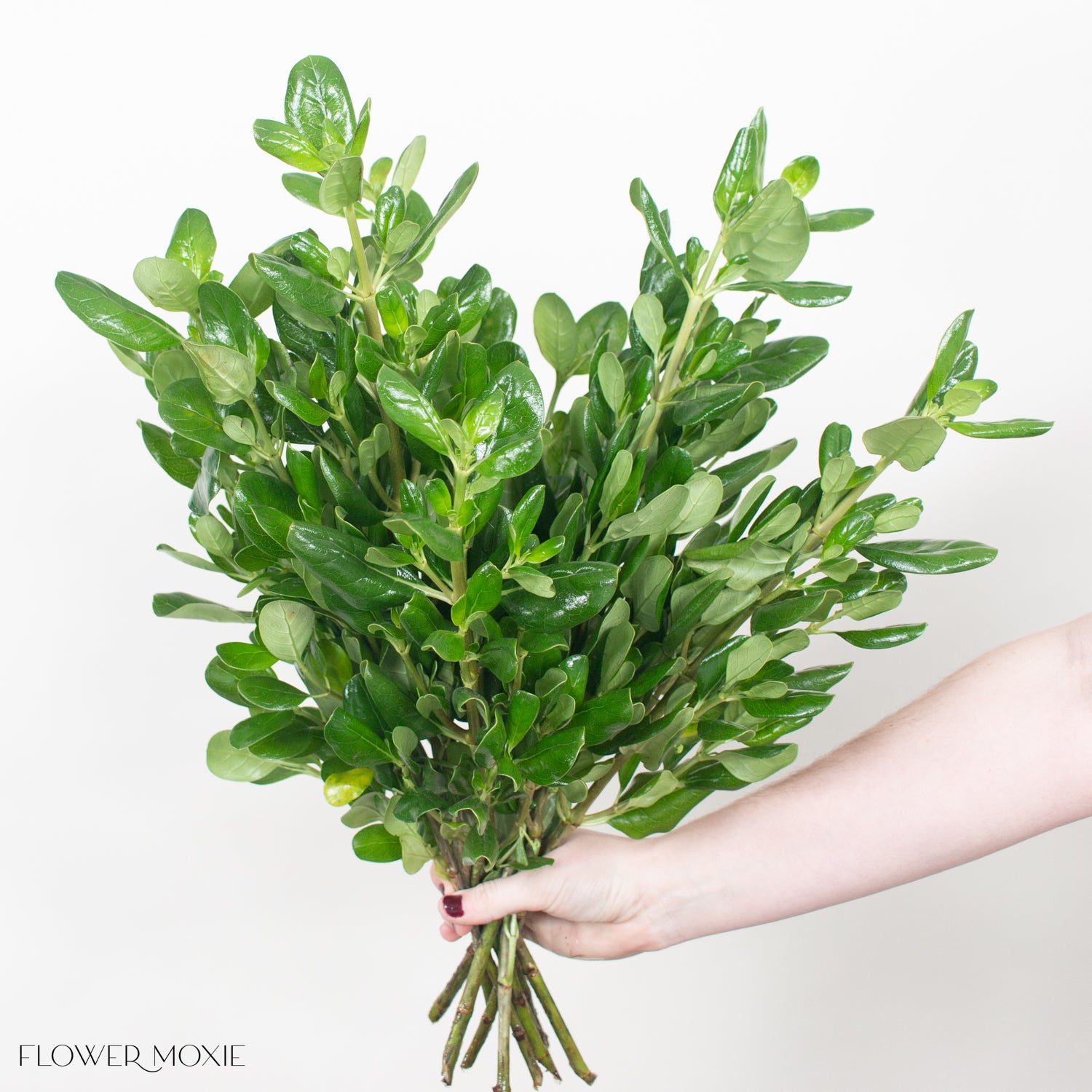 Brillantina Greenery DIY Wedding Flowers Flower Moxie