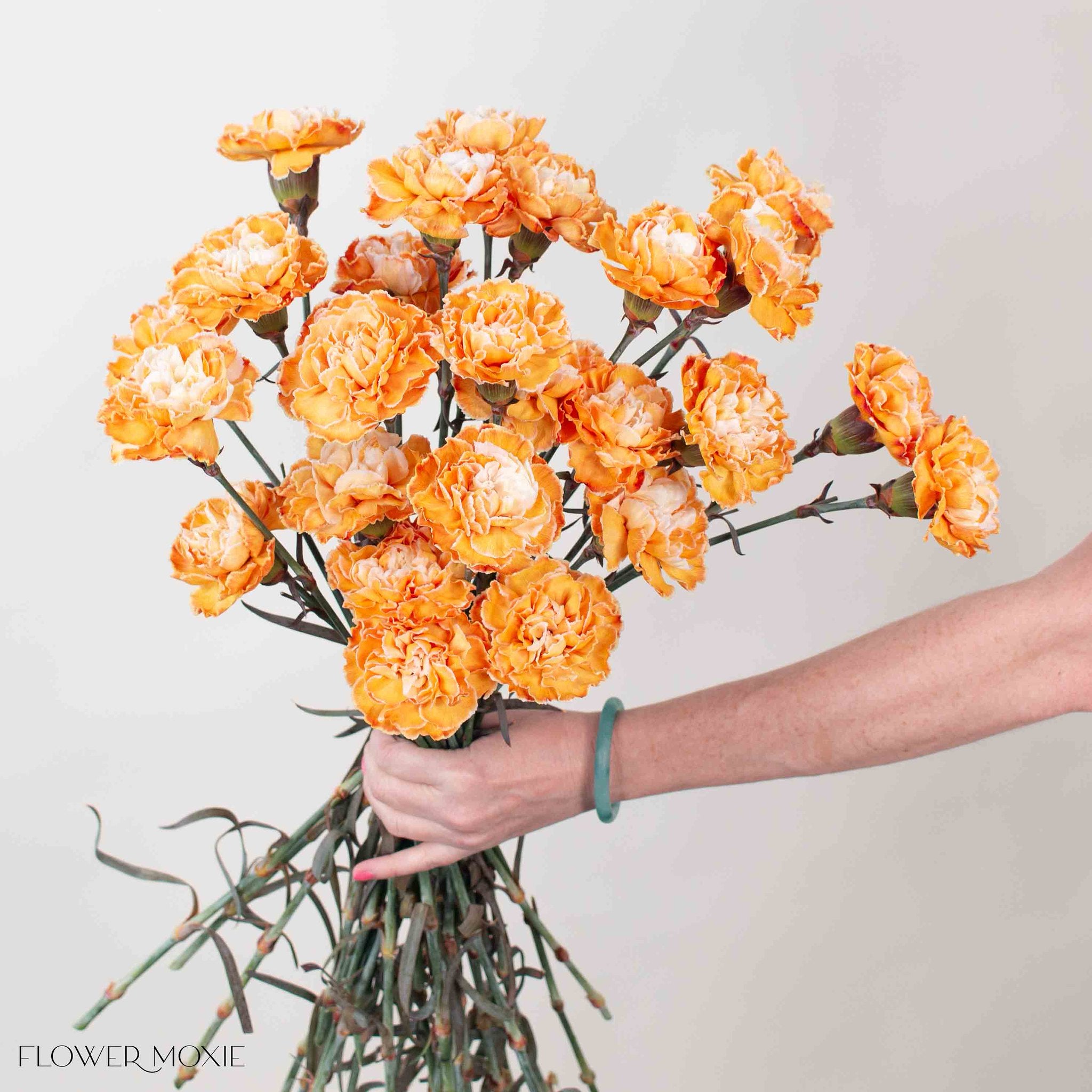 Tinted Pumpkin Spice Carnation Flower | Bulk Fresh DIY Wedding