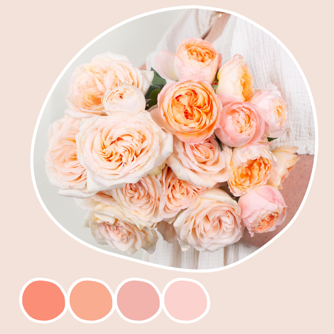 Peach Garden Roses Mixed Box | Flower Moxie Bulk Flowers