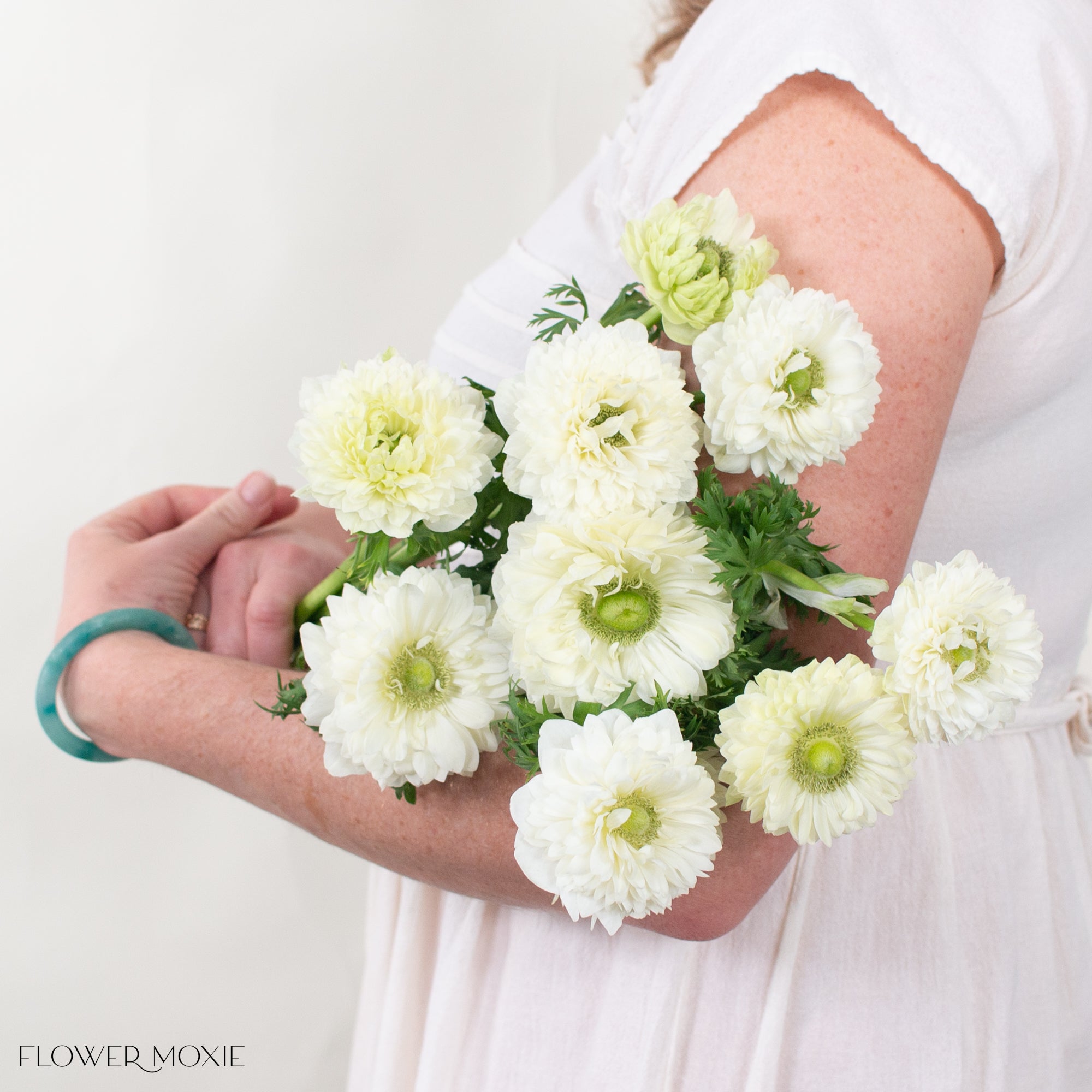 White Lotus Anemone Flowers | Bulk Fresh Wedding Flowers – Flower