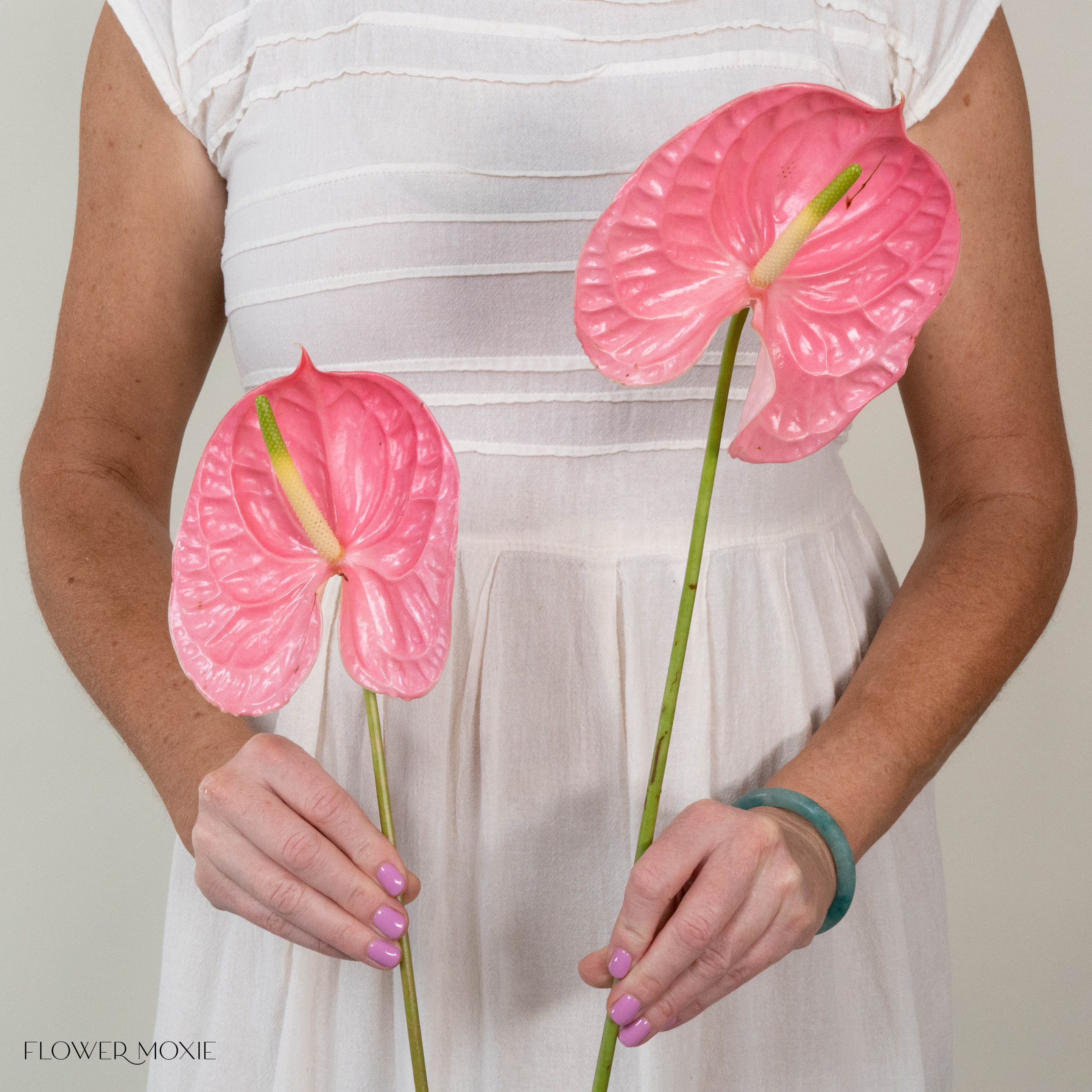 Giant Pink Italian Anthurium | DIY Flowers from Flower Moxie