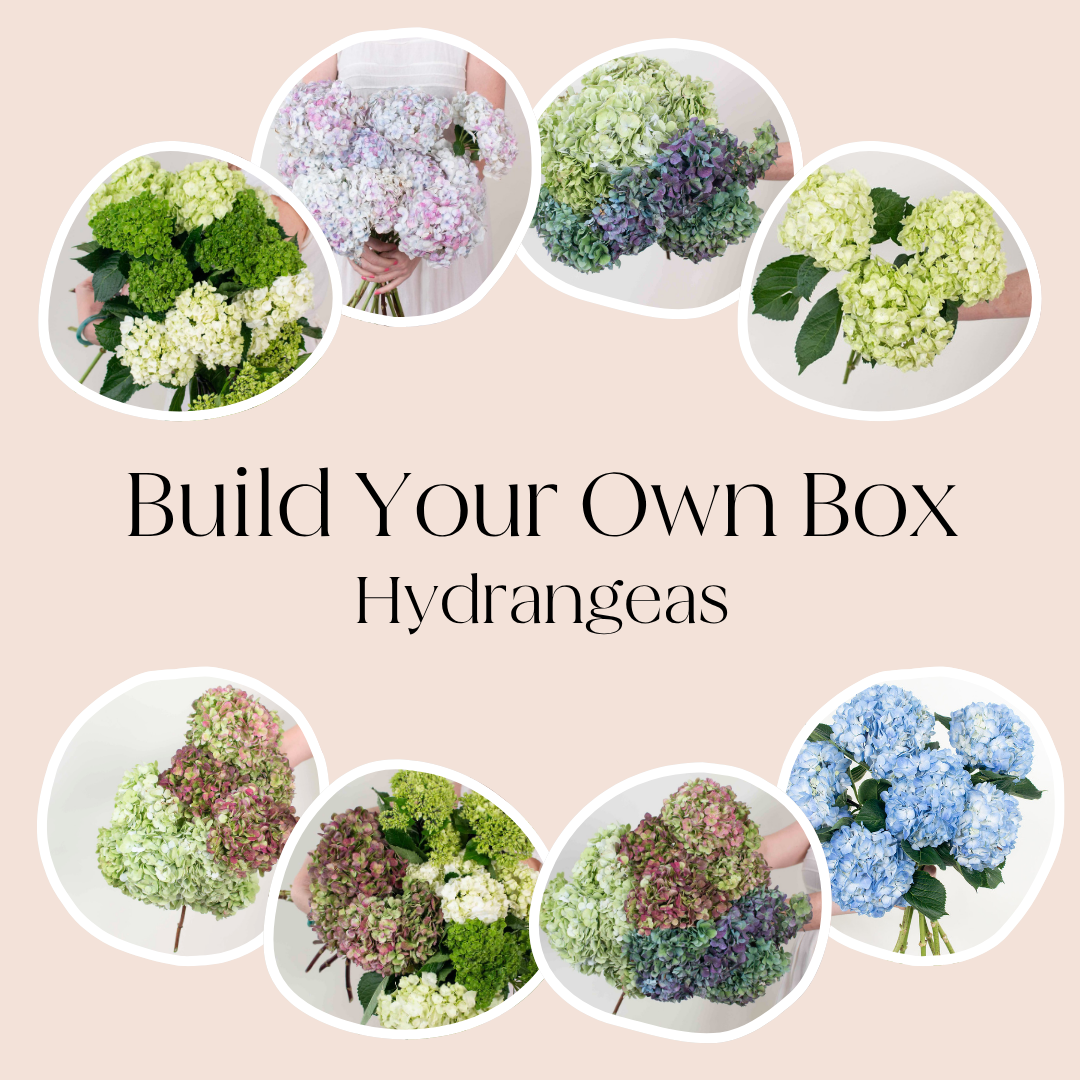 Build Your Own Hydrangea Mixed Box – Flower Moxie
