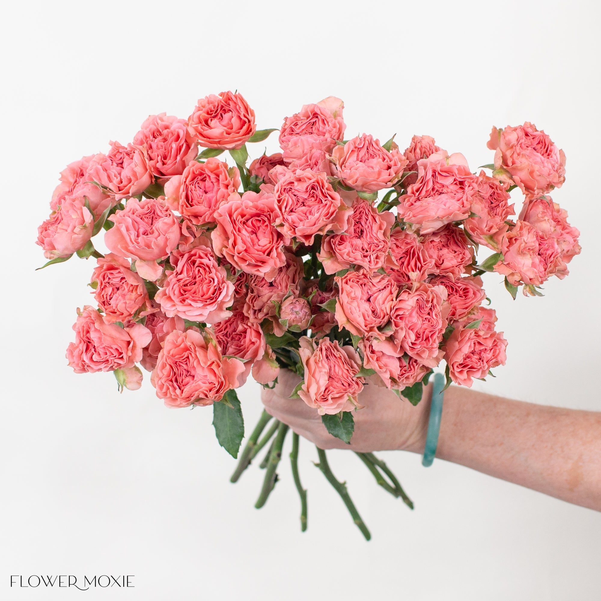 Coral Spray Rose Flower | DIY Wedding Flowers | Flower Moxie 80 Stems