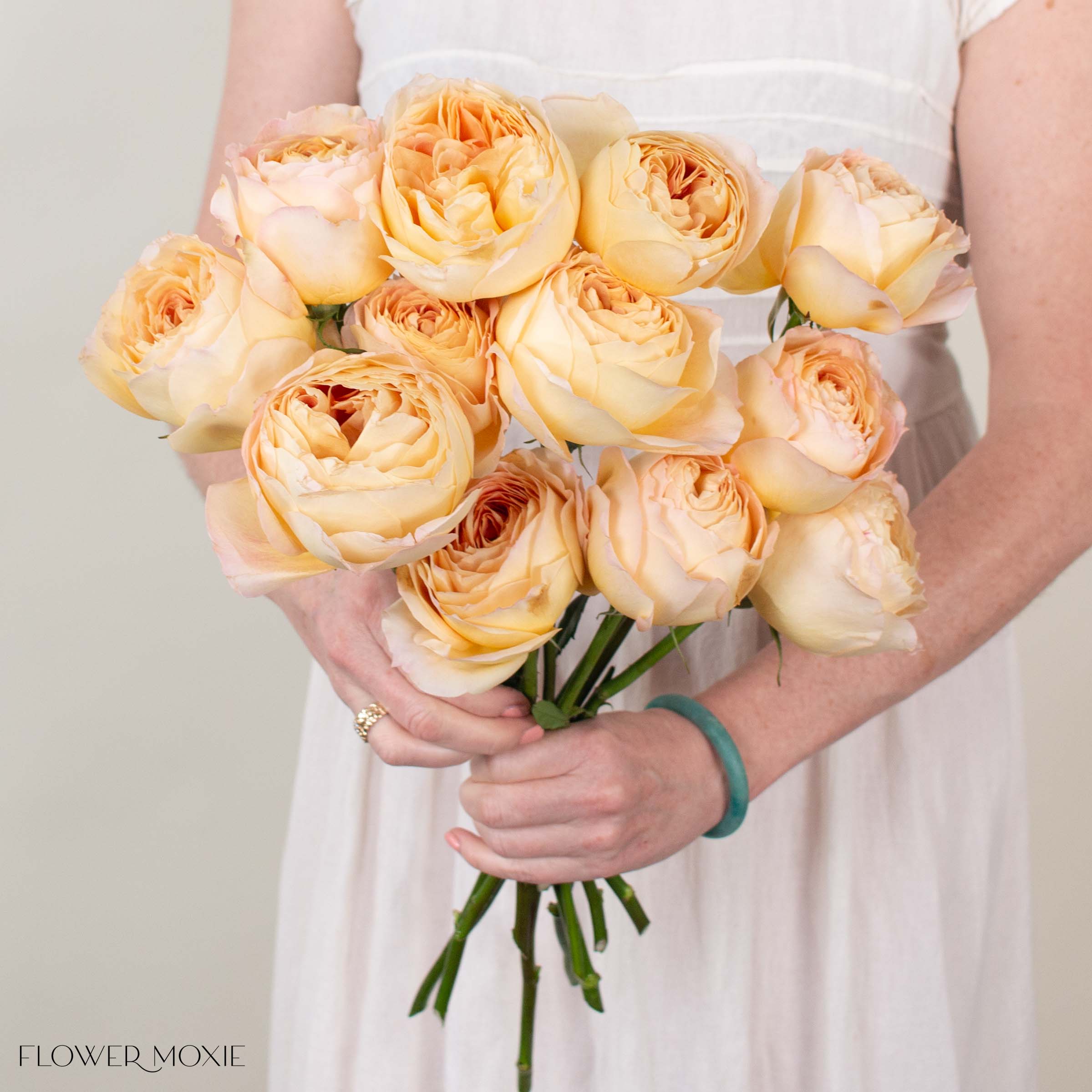 Sand Caramel Antike Garden Rose | DIY Wedding Flowers | Flower Moxie