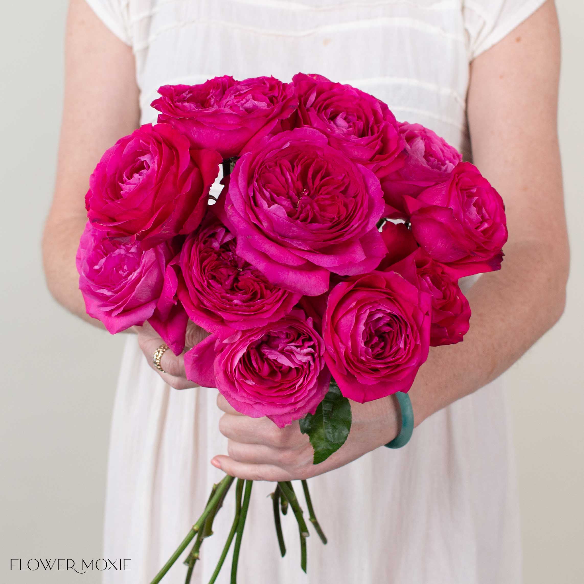 Deep Pink Capability David Austin Garden Rose | DIY Wedding