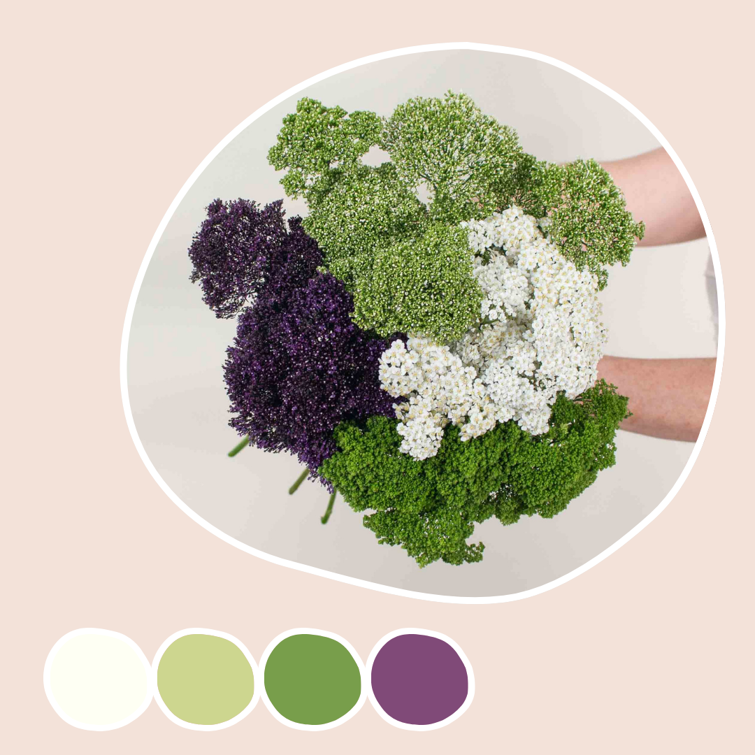 Filler Mixed Box – Purple Touch | Fresh DIY Wedding Flowers