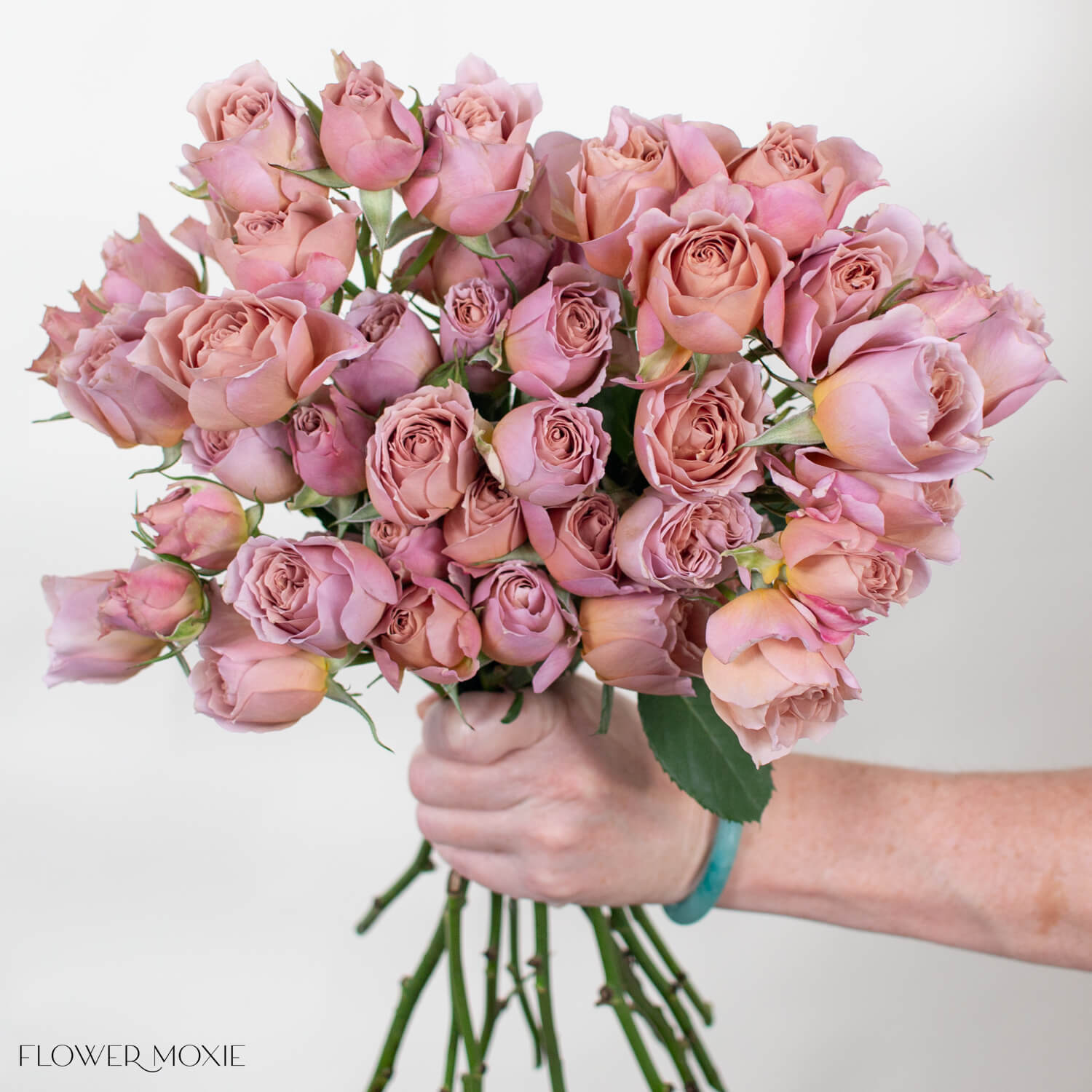 rose garden spray Sandy Pink Loli Spray Garden Roses | Bulk Wedding Flowers - Flower Moxie 24 Stems