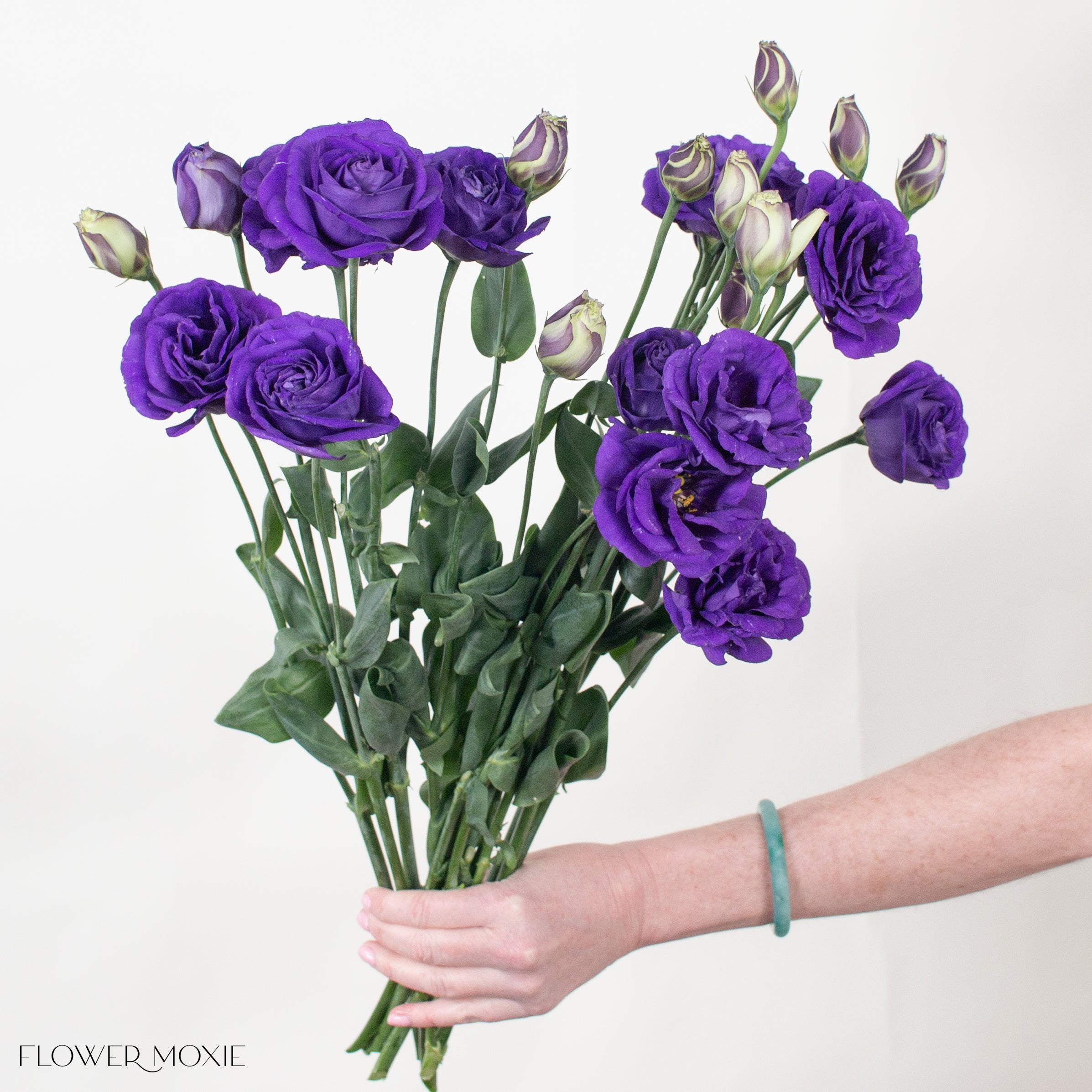 lavender lisianthus flower Dark Purple Lisianthus | DIY Wedding Flowers | Flower Moxie 10 Bunches