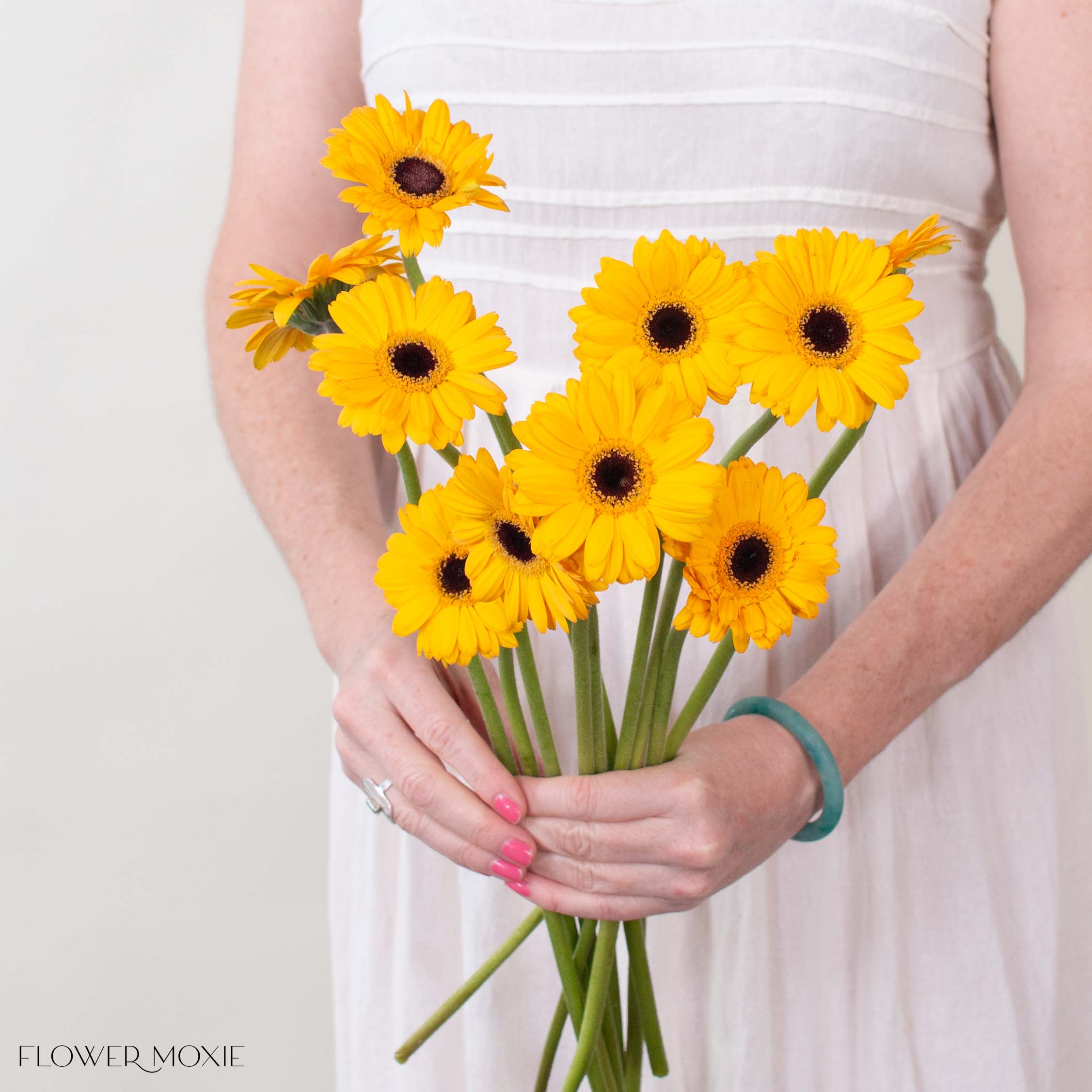 Yellow Mini Gerbera Daisies | Fresh DIY Wedding Flowers | Flower Moxie 50 Stems - per stem Yellow Mini Gerbera Daisies | Fresh DIY Wedding Flowers | Flower Moxie 50 Stems - per stem