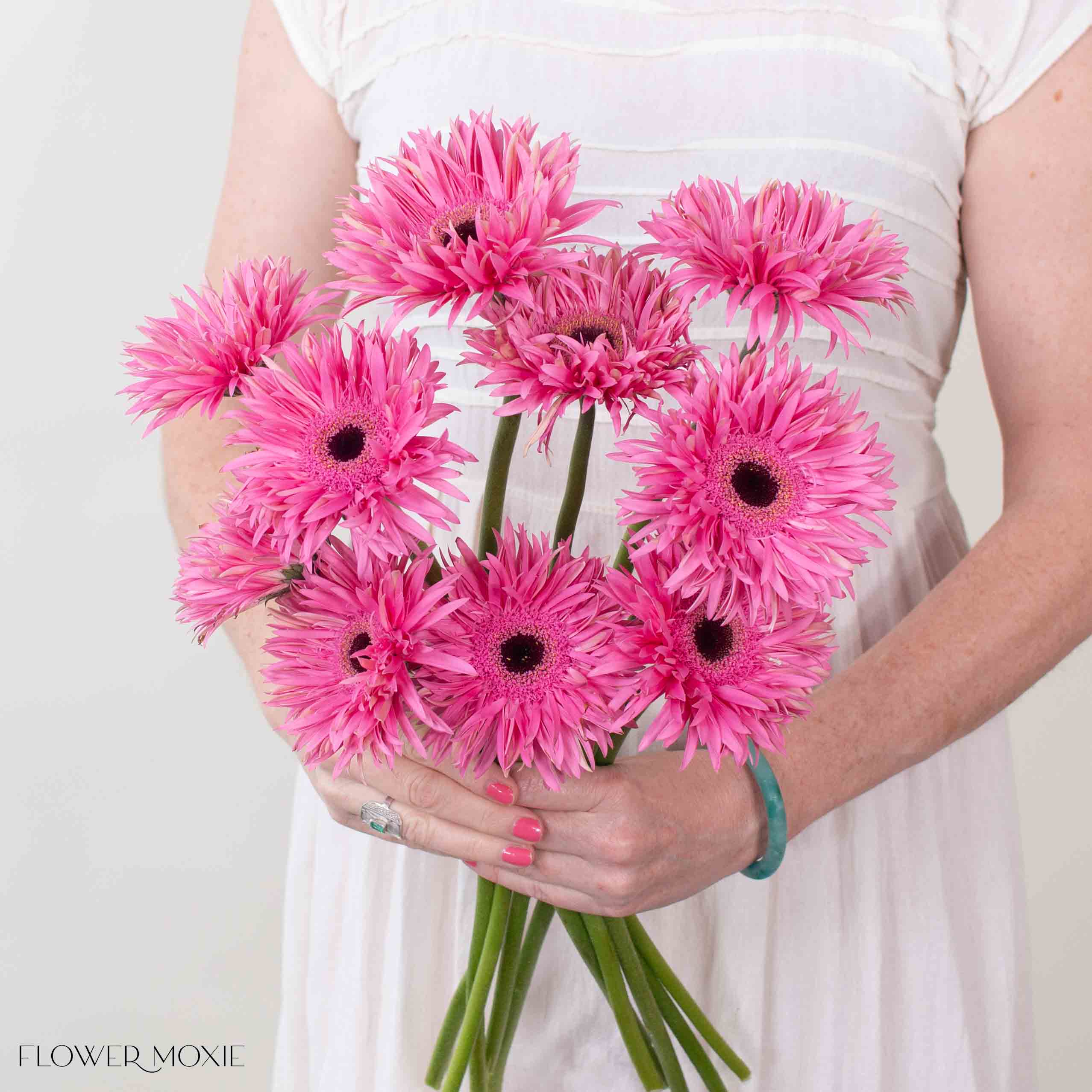 Spider Score Pink Mini Gerbera | Fresh DIY Wedding Flowers | Flower Moxie