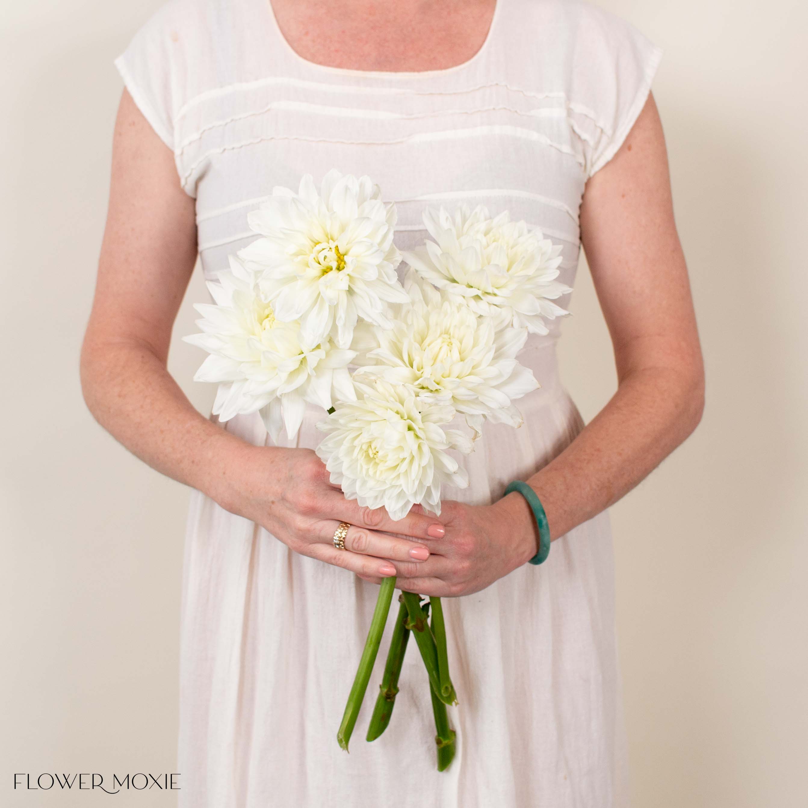dahlia succulent bouquet White Quartz Dahlia Flower | Bulk Fresh Wedding Flowers | Flower Moxie 30 Stems