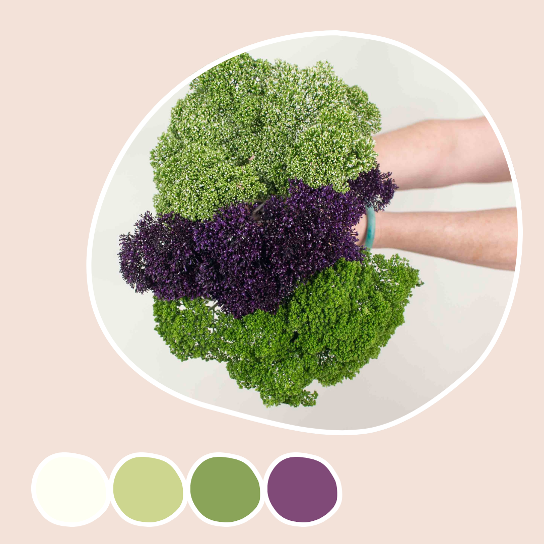 White, Green, and Purple Trachelium Mixed Box | Fresh DIY Wedding