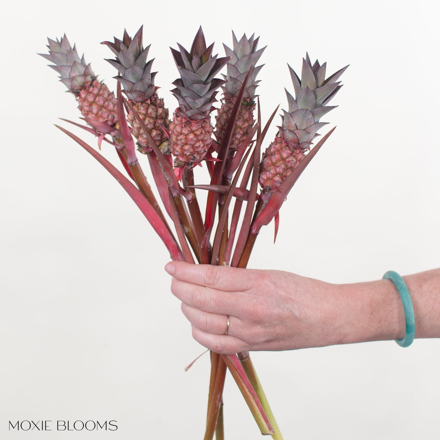 baby pineapple plant in a floral arrangement Anana Pineapples - Flower Moxie