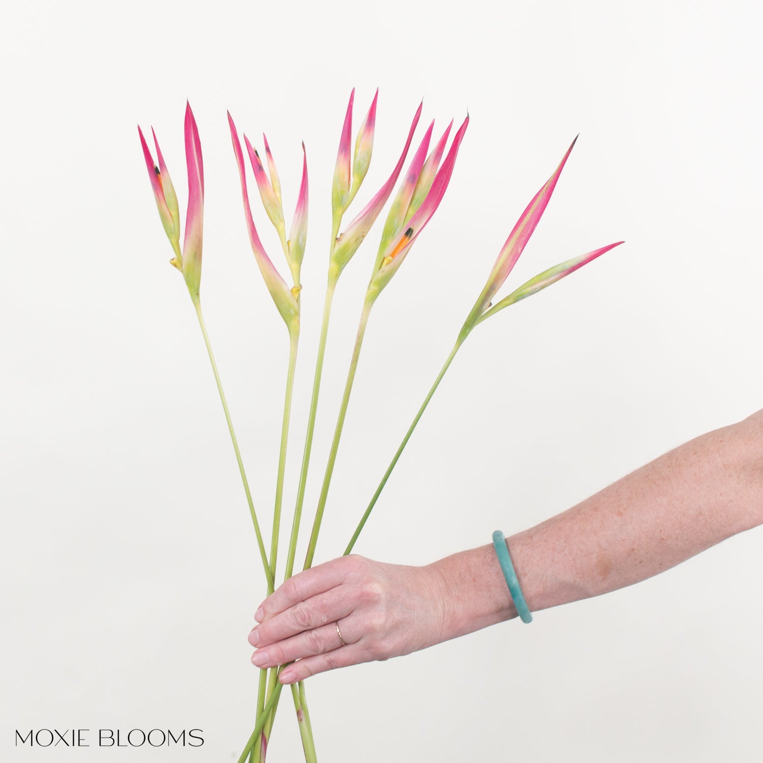 Sassy Heliconia - Flower Moxie | DIY Flowers + Free Shipping