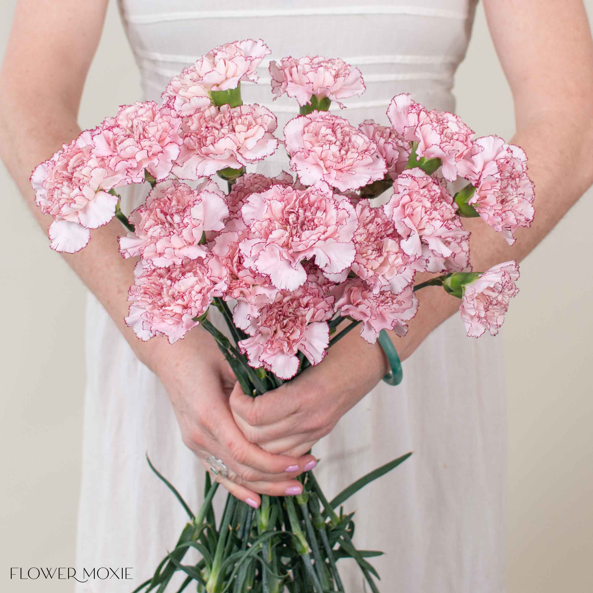 mariposa_carnation_-1.jpg?v=