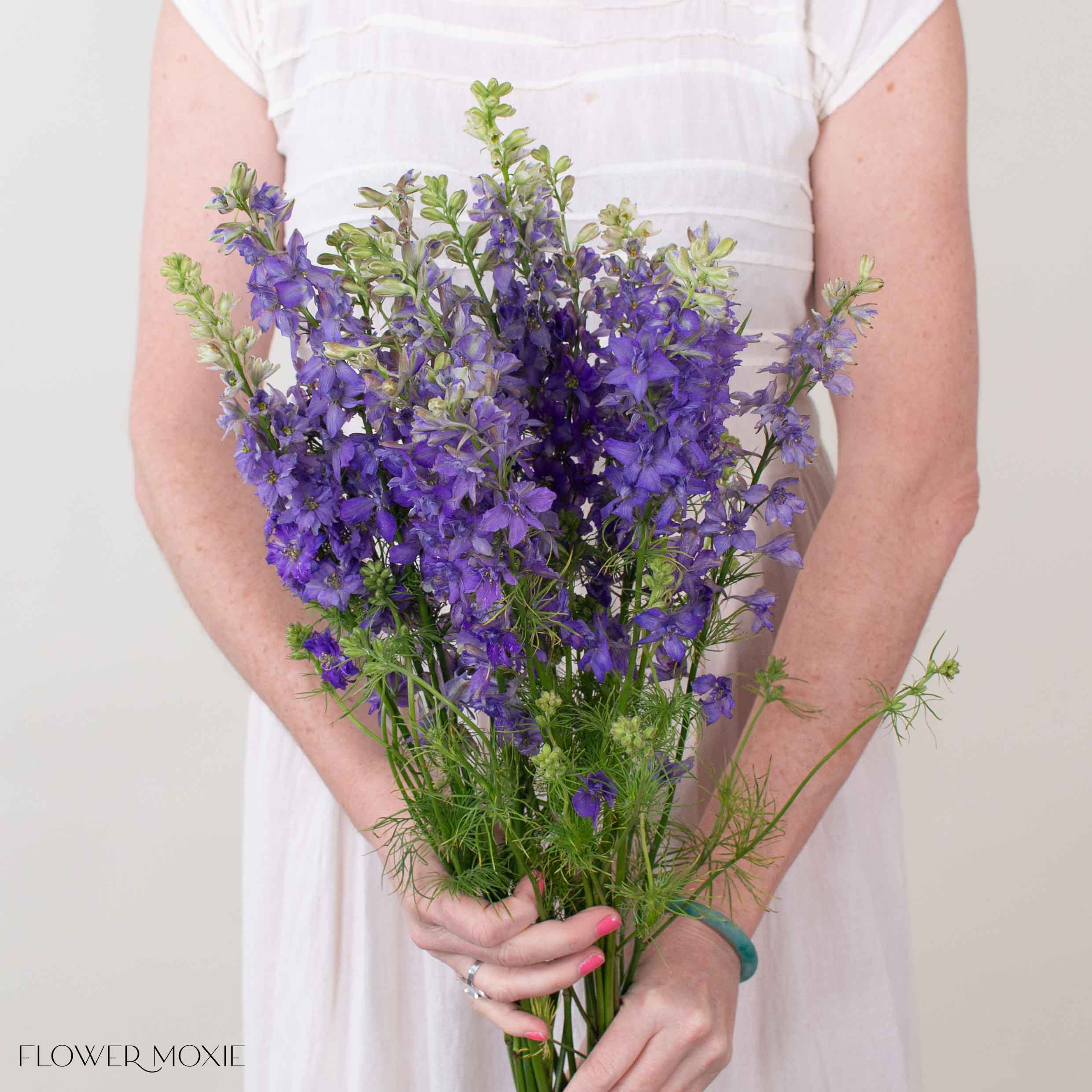 Purple Larkspur Flower | Fresh DIY Wedding Flowers | Flower Moxie