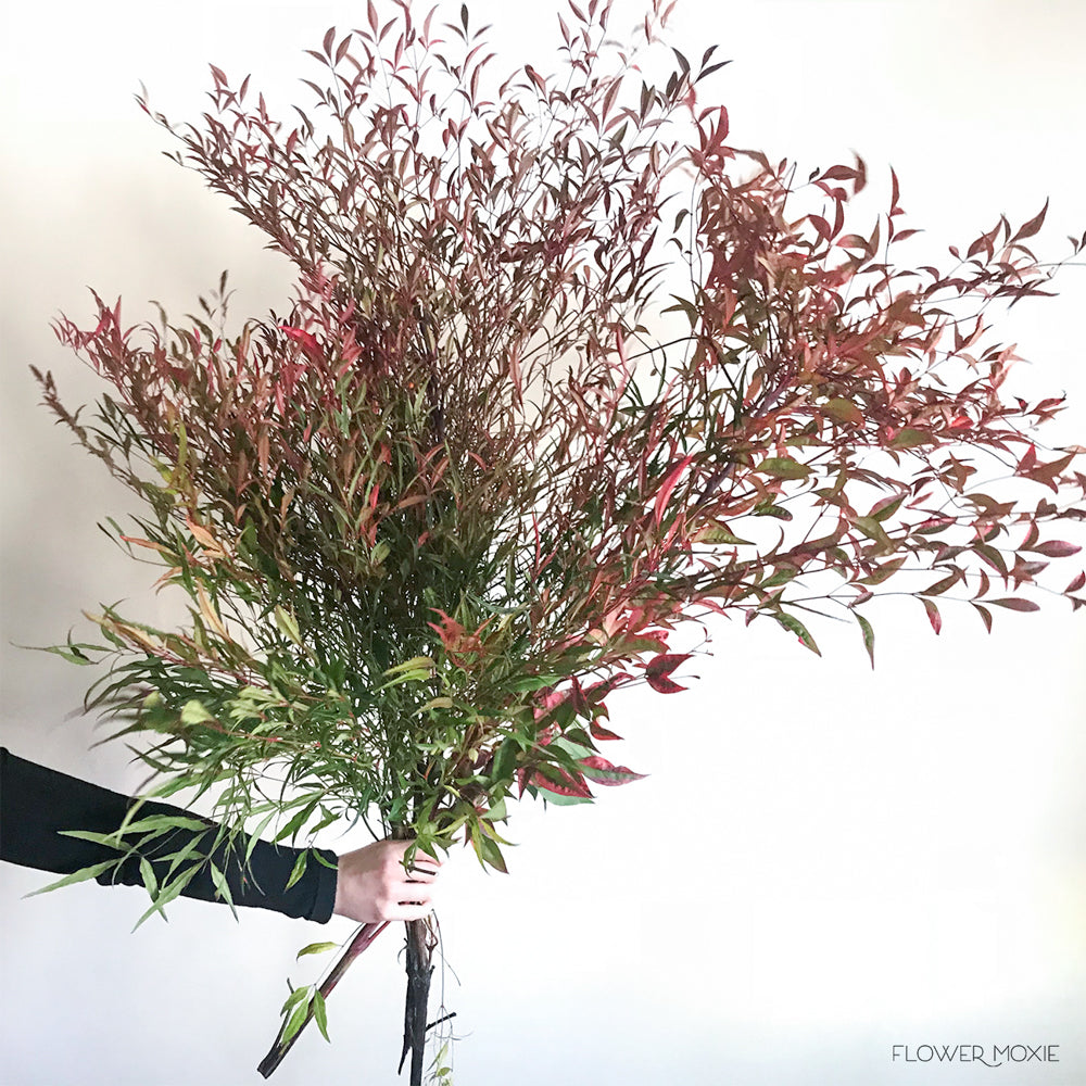 Fall Foliage Nandina Greenery | DIY Wedding Flower | Flower Moxie