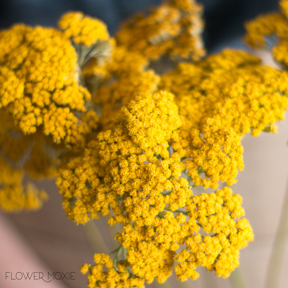 Yellow | DIY Wedding Flowers | Flower Moxie