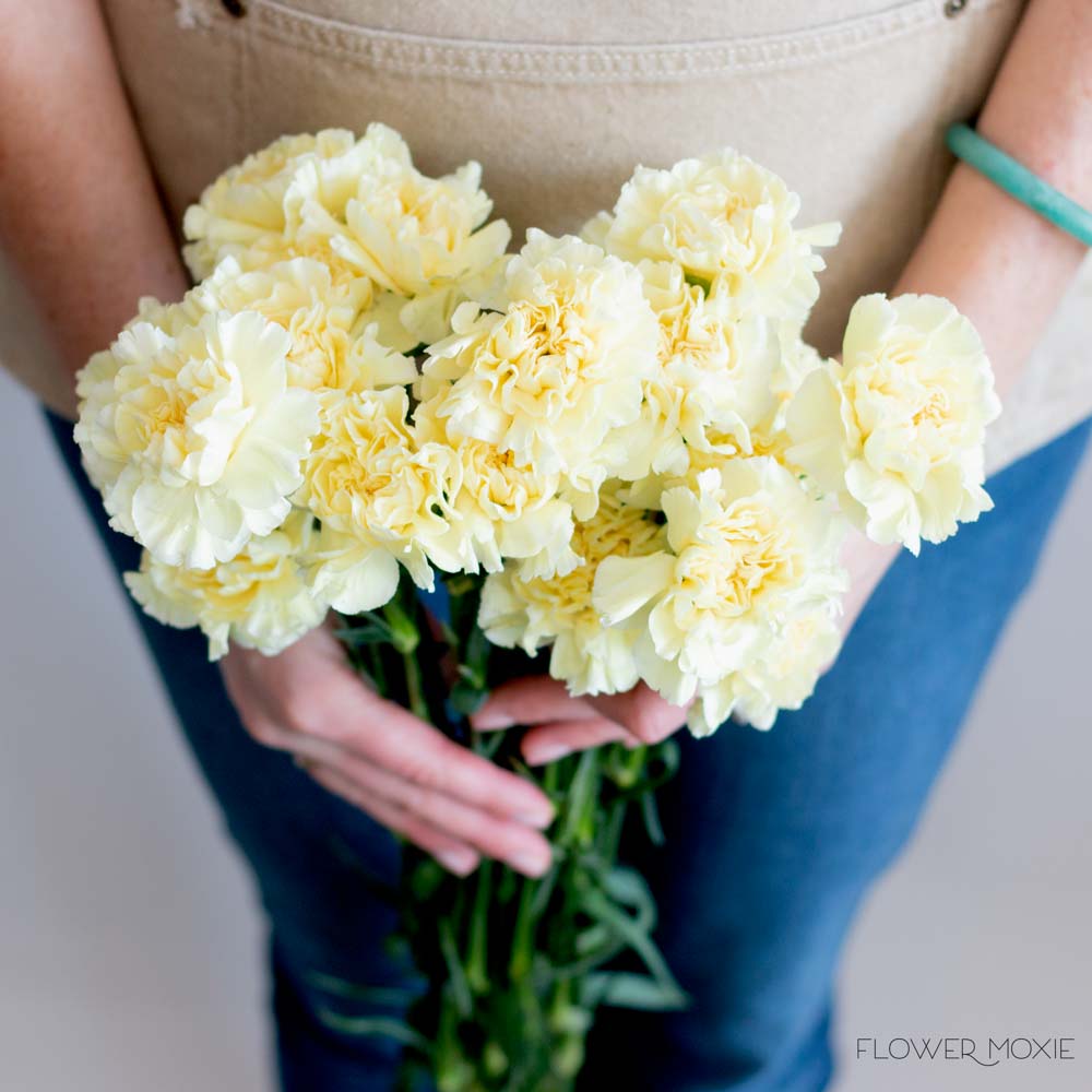 yellow carnation flower bouquet