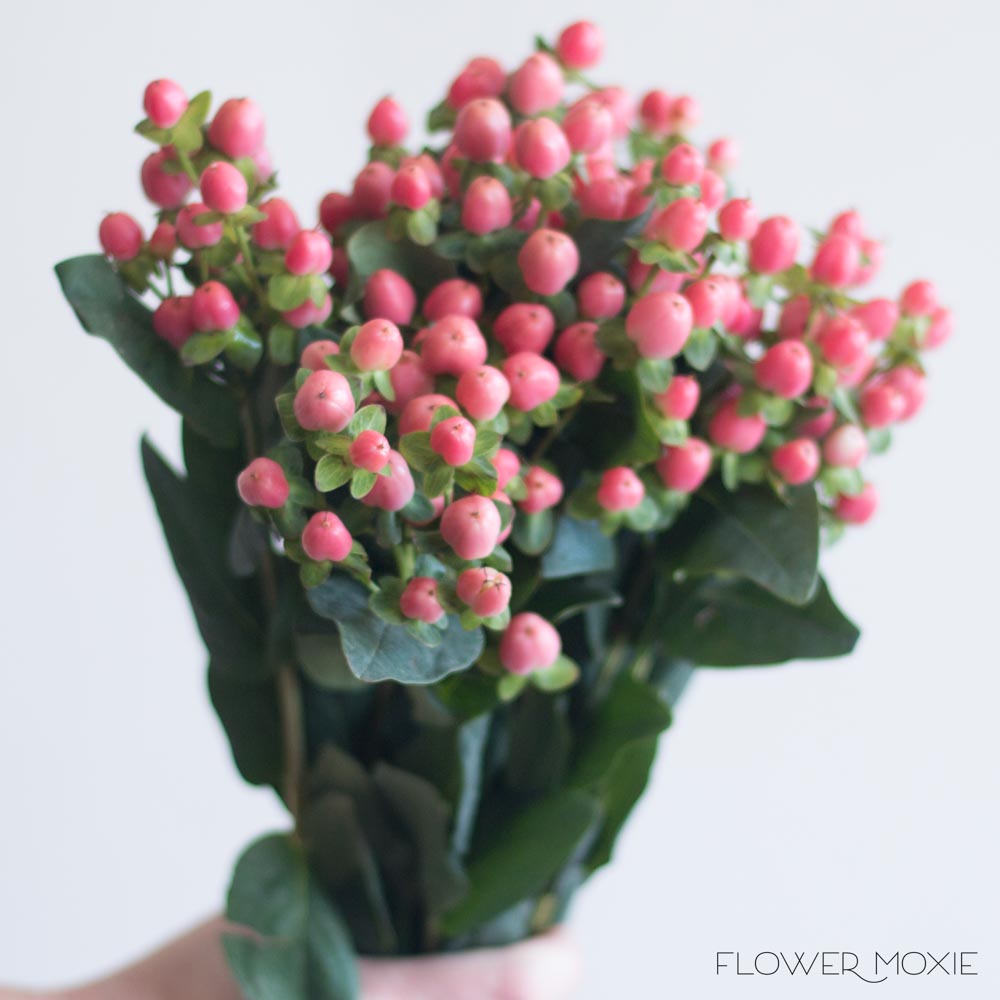 Pink Hypericum Berries | DIY Wedding Flowers | Flower Moxie