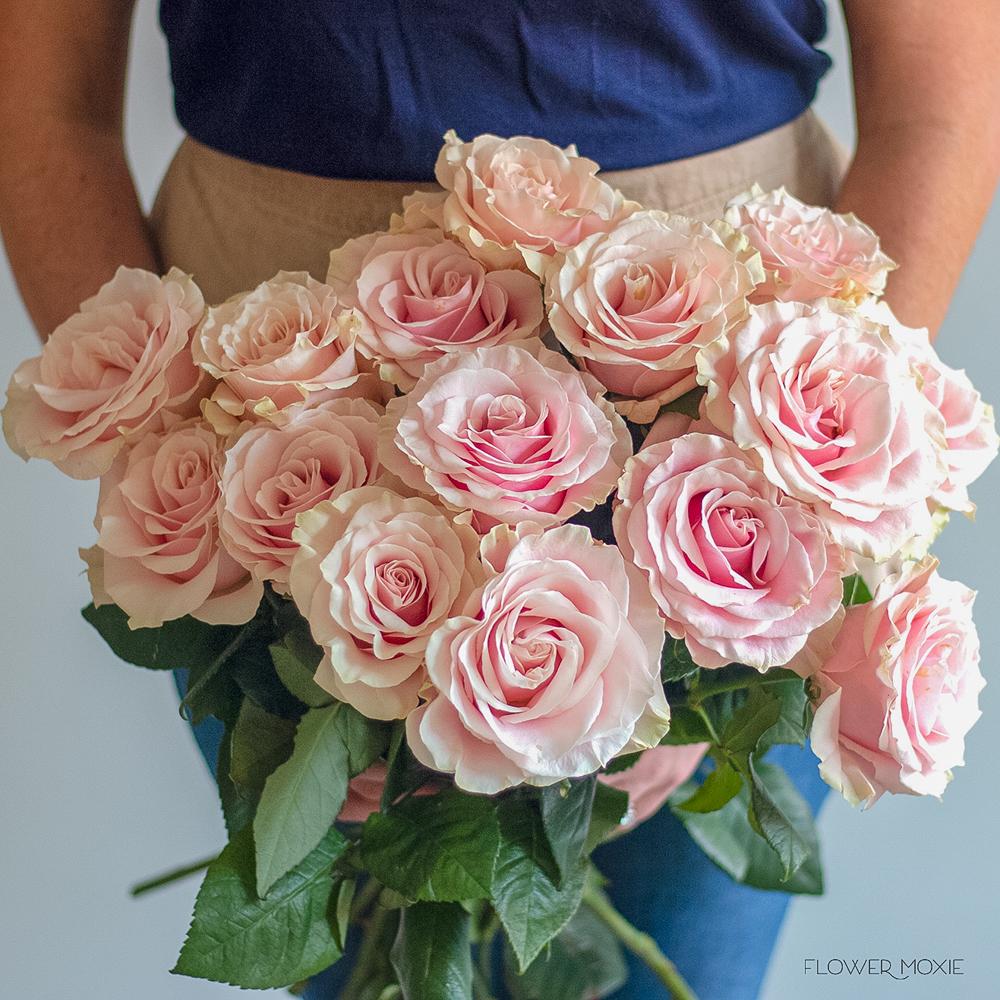 Soft Pink Mondial Roses, Bulk DIY Wedding Flowers