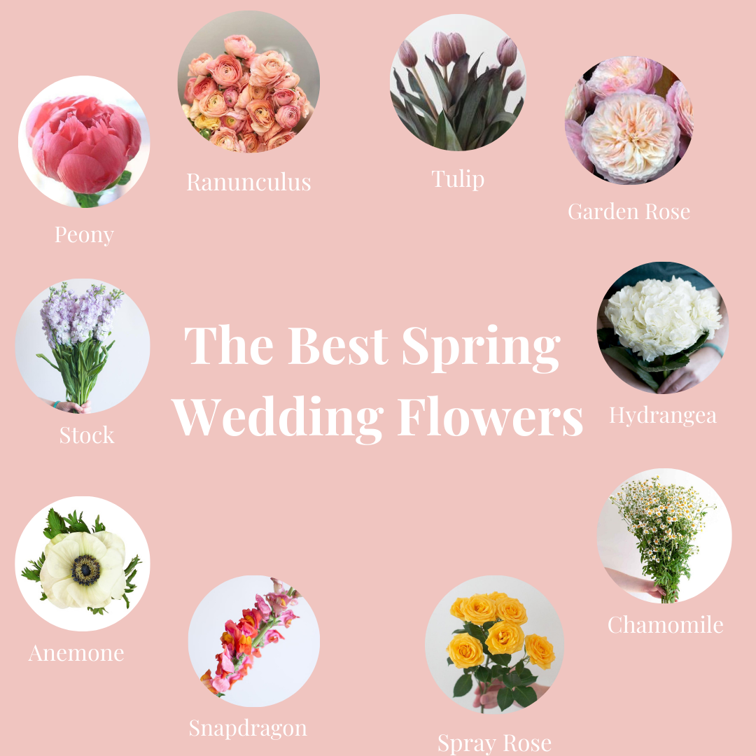 10 Jaw-Dropping Flowers for Your Spring Wedding