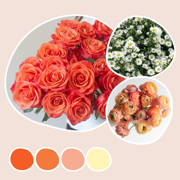 Peach and Orange Mixed Box - Feverfew | Flower Moxie Bulk Flowers