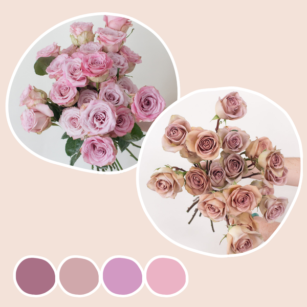 Amnesia and Faith Roses Mixed Box | Flower Moxie Bulk Flowers