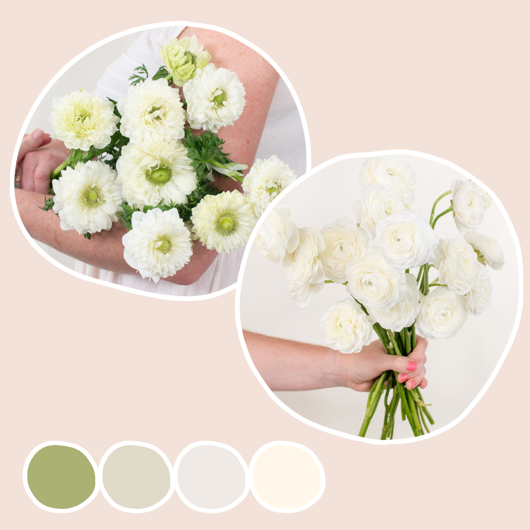 White Ranunculus and Lotus Anemone Mixed Box – Flower Moxie
