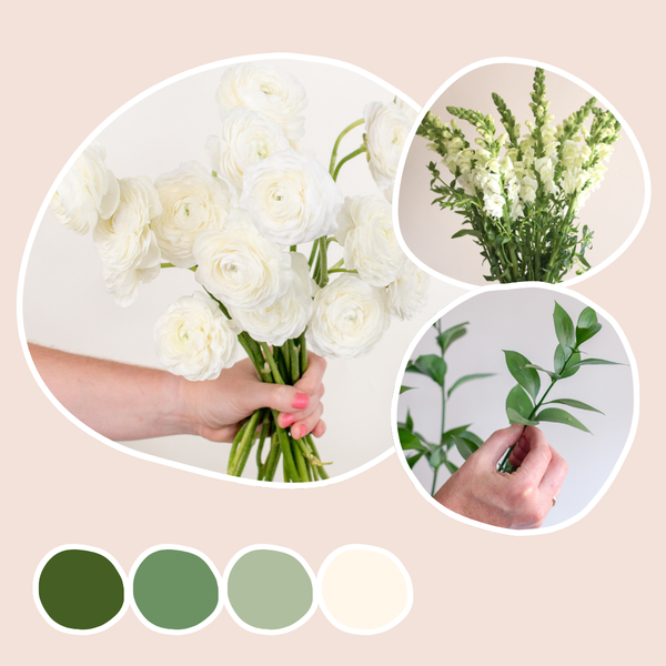 Cream Mixed Box – Pearl Spire | Flower Moxie Bulk Flowers