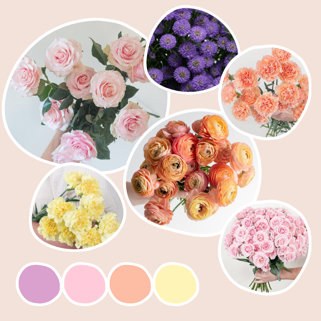 Pastels Mixed Box – Cheerful Tones
