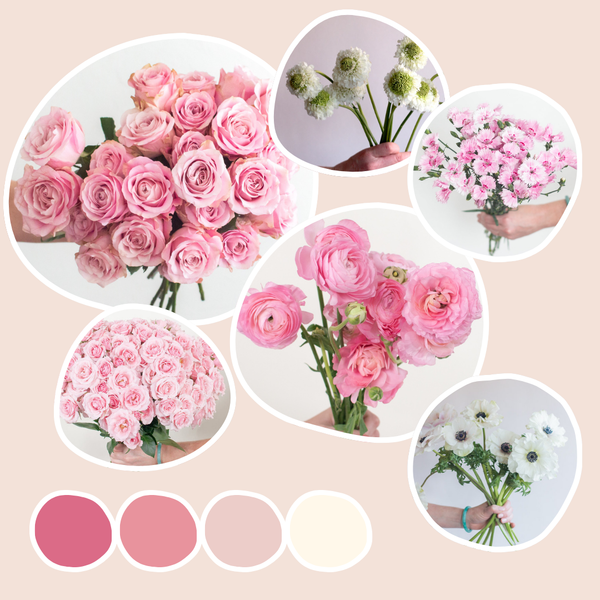 ARSOA Fresh Flower Set PINK 口紅 アイカラー アルソア フレッシュ