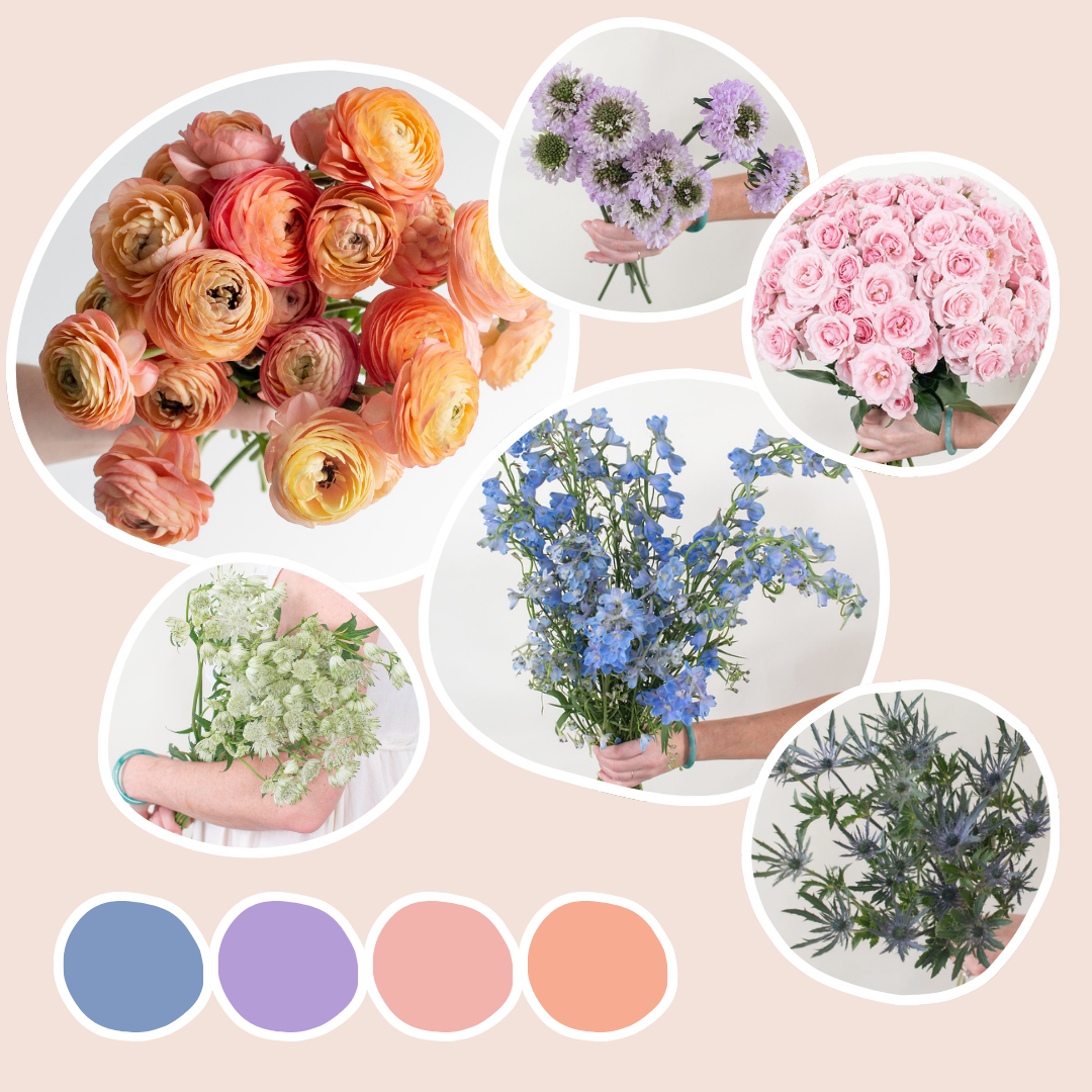Wildflower Mixed Box – Summer Garden