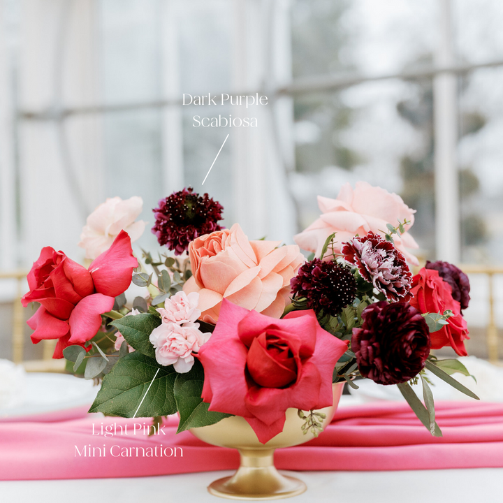 Light Pink Mini Carnations DIY Wedding Flowers Flower Moxie