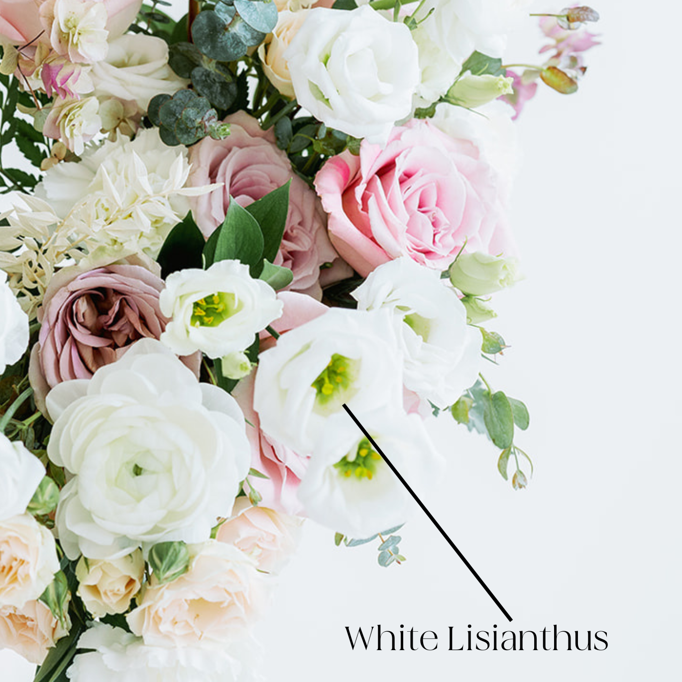 white lisianthus flower