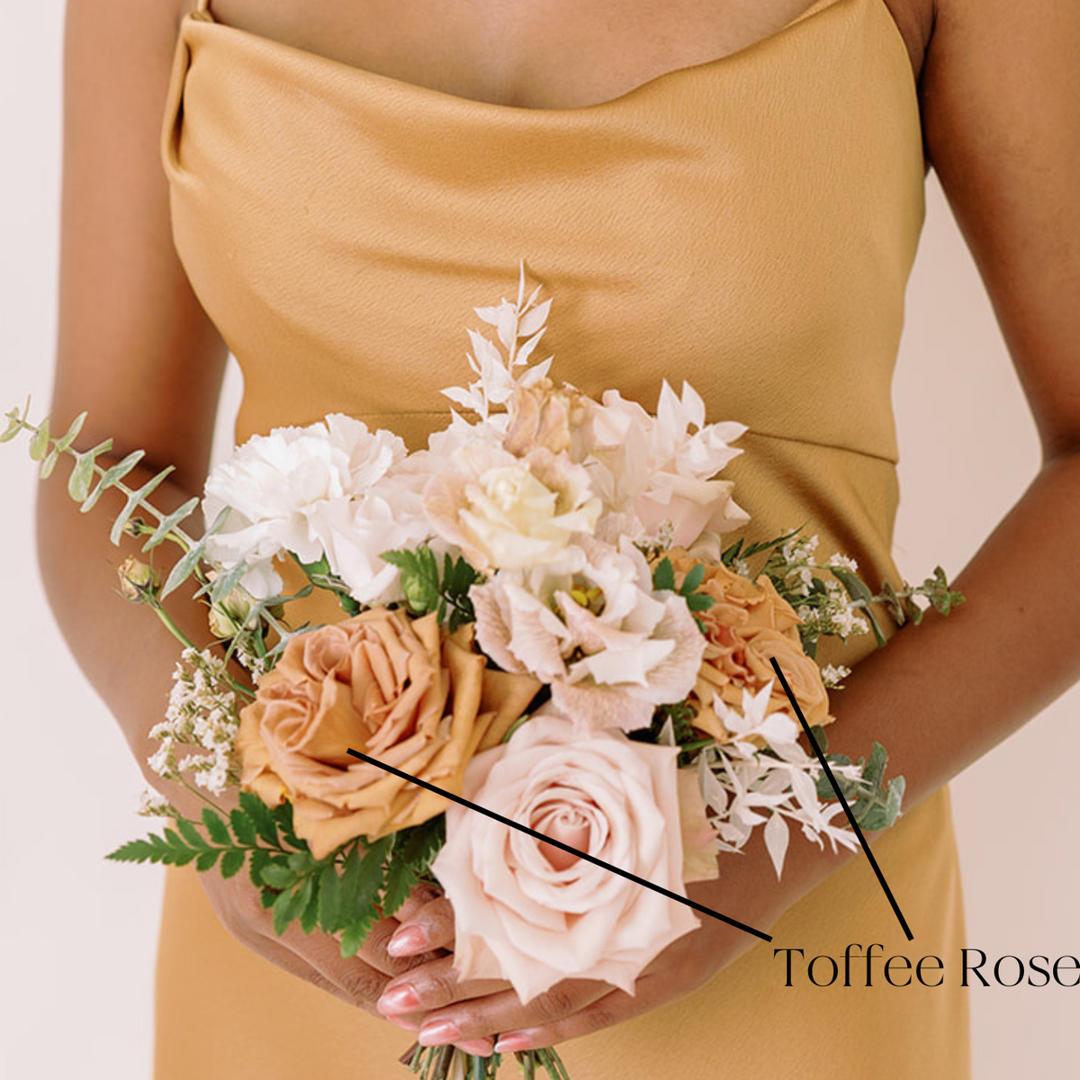 Mini Roses Tofee Tan Toffee Roses | Bulk Fresh DIY Wedding Flowers | Flower Moxie