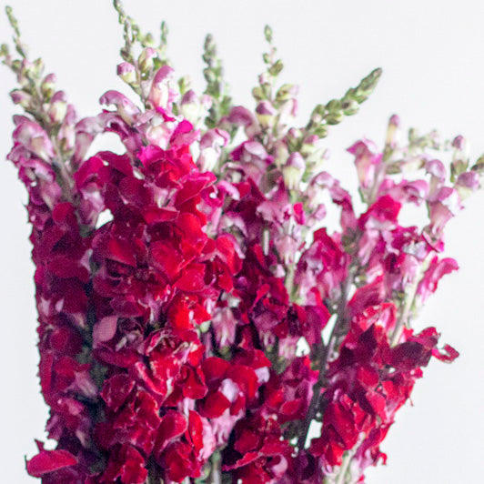 32525612847 fb14d23962 o 787f5432 ebb4 49f7 a92e a6fc9c237b96