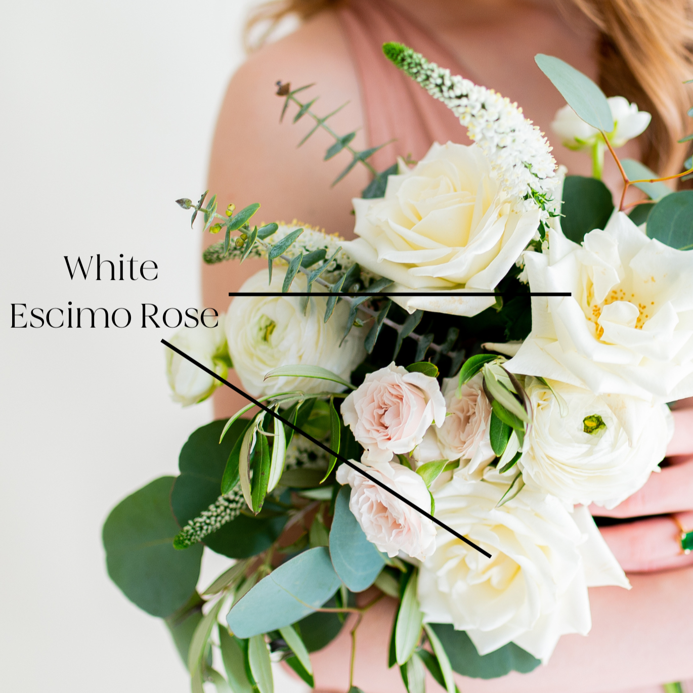 white escimo rose
