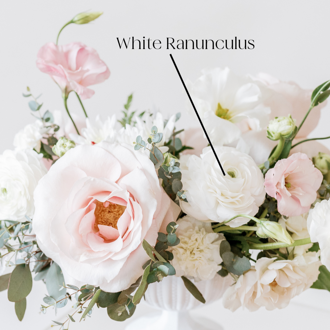 White Flowers | Bulk Fresh Wedding Flowers Online | Flower Moxie