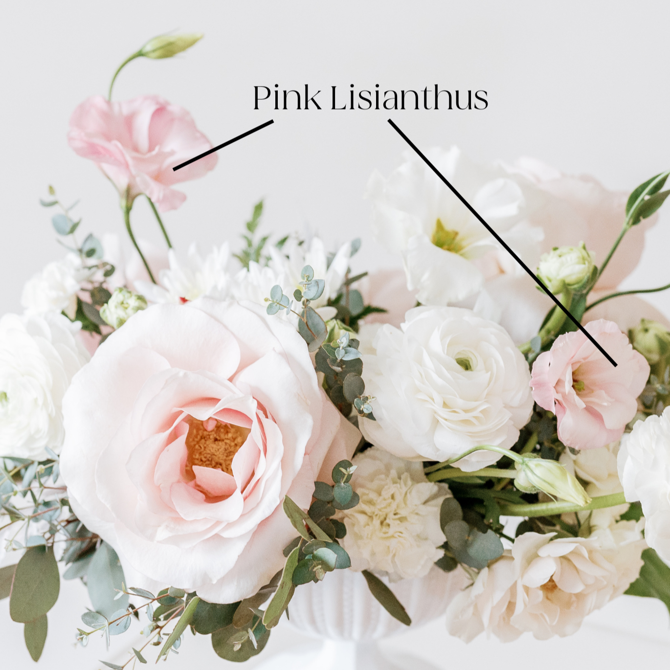 Pink Lisianthus Flower | DIY Wedding Flowers | Flower Moxie
