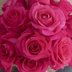 Deep Pink Floyd Rose Flower