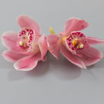 pink cymbidium orchid blossom