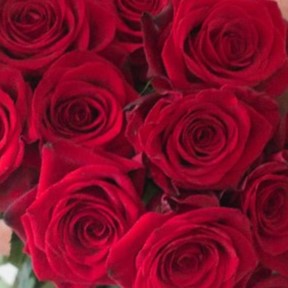 Red Freedom Flower